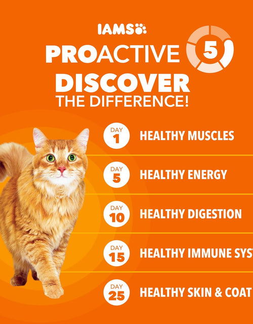 Load image into Gallery viewer, Proactive Health Hairball Dry Cat Food, Chicken &amp; Salmon, 7 Lb | Veterinarian-Recommended, Reduces Hairballs, Supports Healthy Digestion, Maintains Healthy Weight, Nourishes Heart
