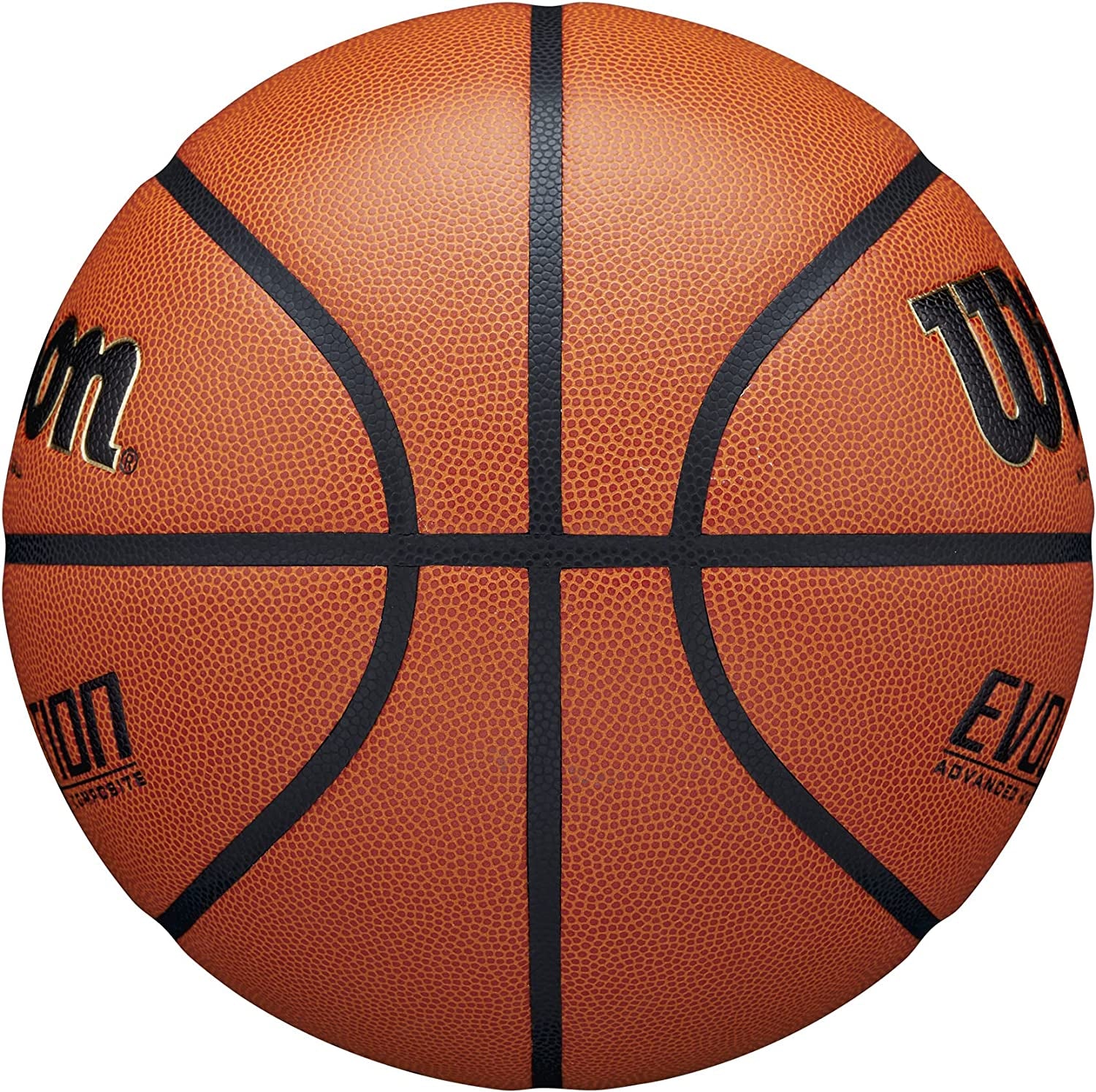 Wilson Evolution Basketballs