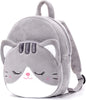 B01 Grey Cat