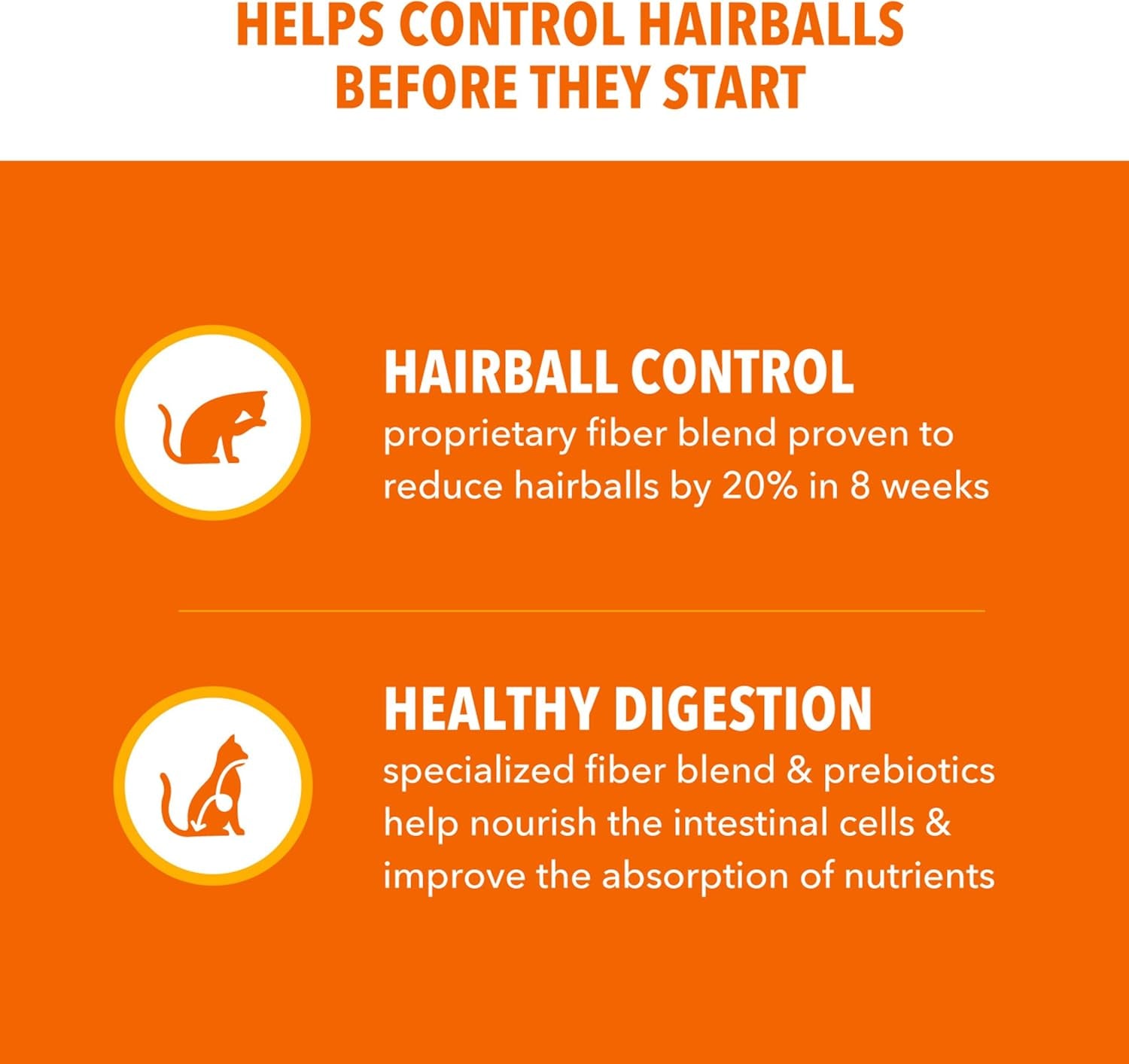 Proactive Health Hairball Dry Cat Food, Chicken & Salmon, 7 Lb | Veterinarian-Recommended, Reduces Hairballs, Supports Healthy Digestion, Maintains Healthy Weight, Nourishes Heart